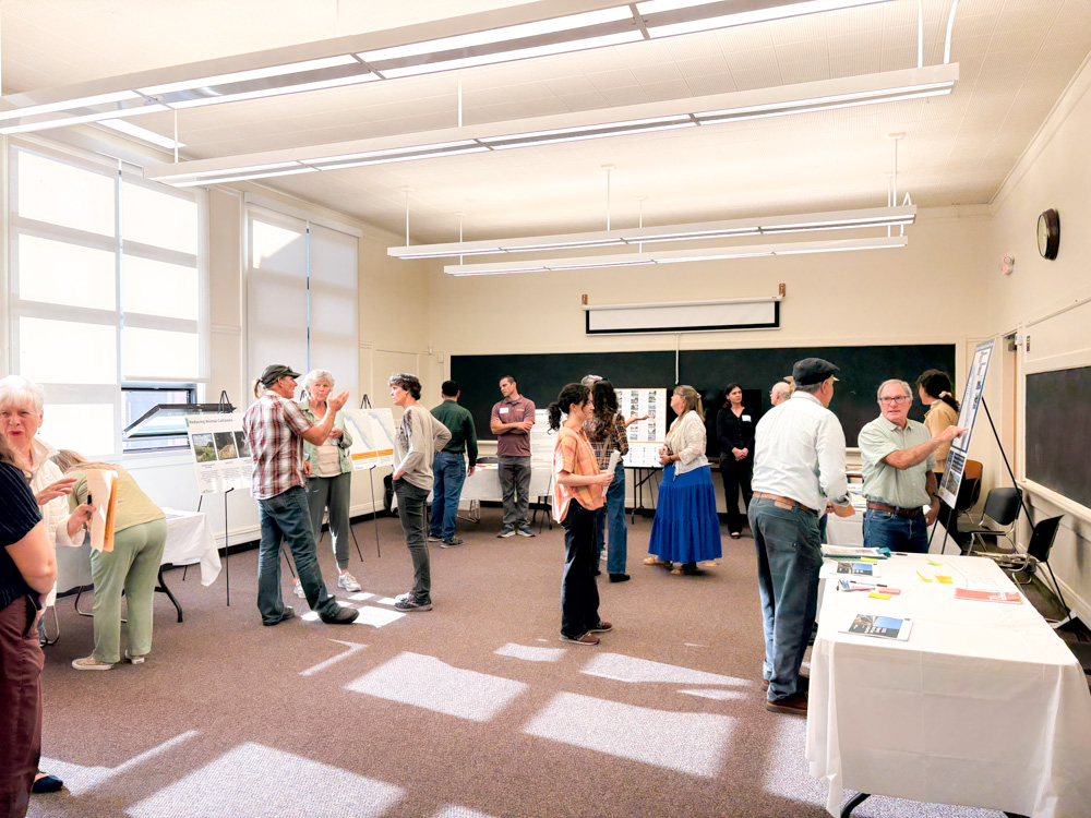 A group of community members and staff gather inside a brightly lit room at the Coast Unified School District for a Visioning Workshop, chatting in small groups and viewing information boards set up on easels.
